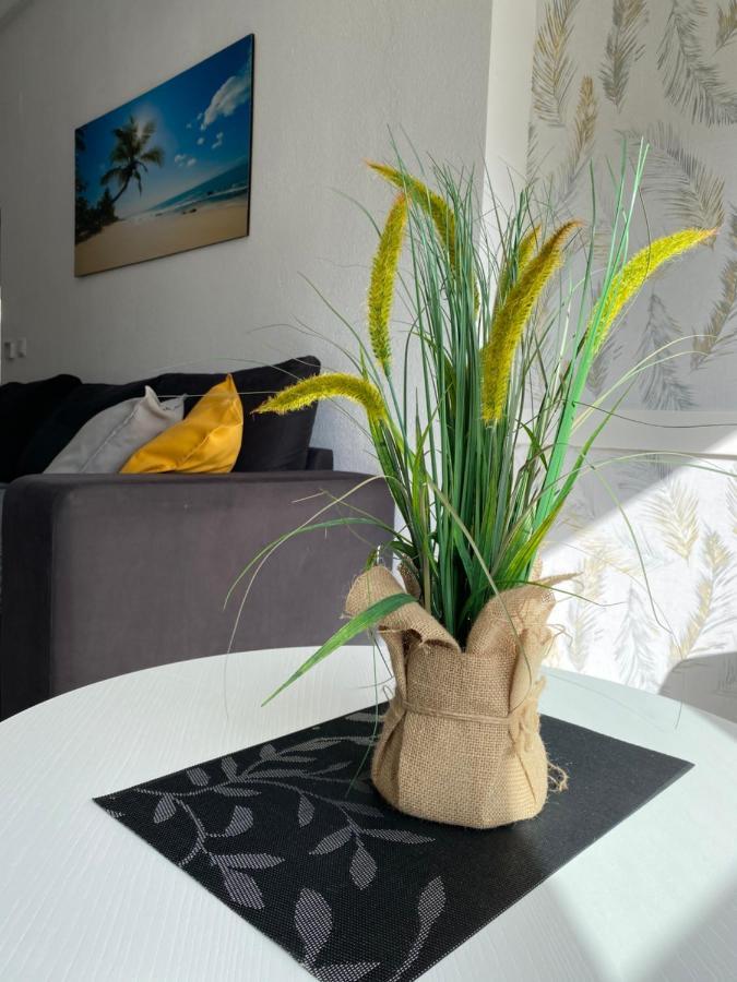 Sunshine Apartment Torrevieja Exteriör bild