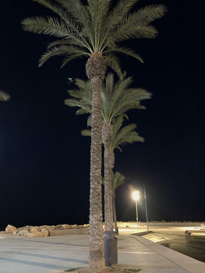 Sunshine Apartment Torrevieja Exteriör bild
